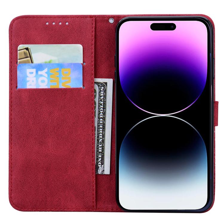 EDA008424304D_3.jpg@23e05f54d30aabba13cd98f9c54d964f