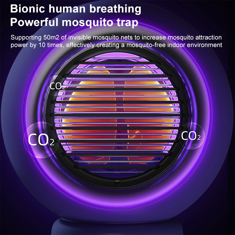 NFR1531_B6.jpg@d37e1b4fbc394939d3e16c380717793e