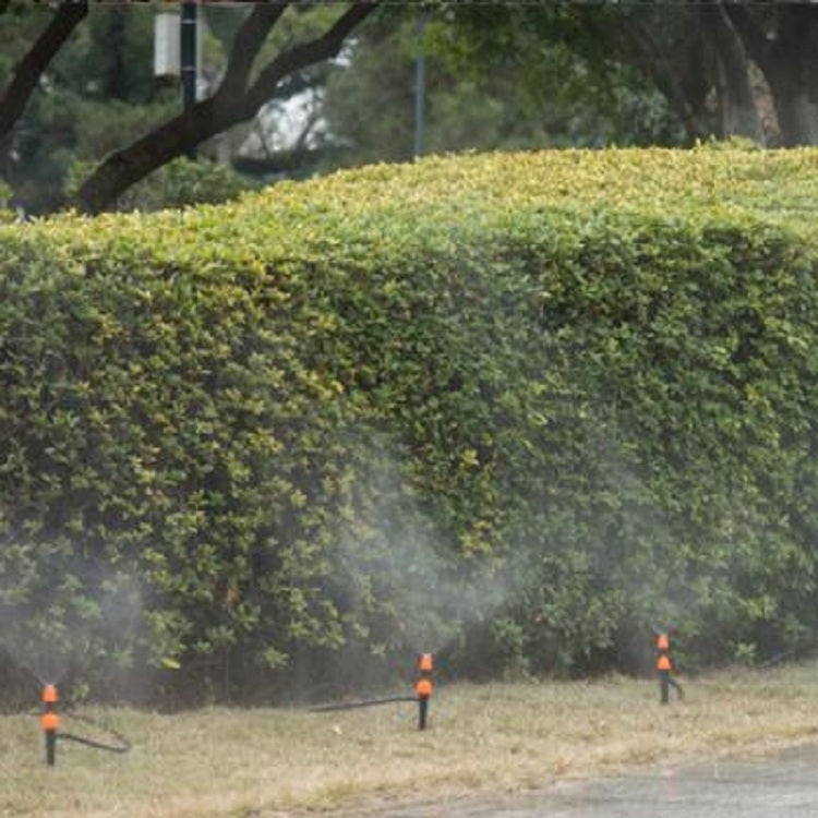 TBD0423757201A_9.jpg@a4093ab6daadf3499892cbe4a1894551