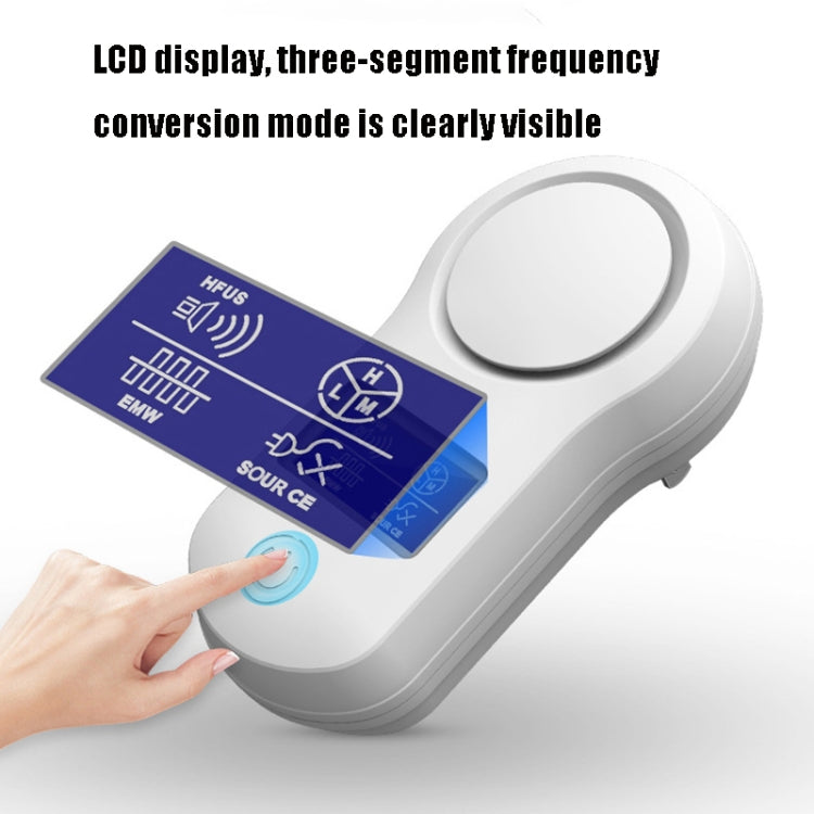 TBD0552239903_B6.jpg@8baf9b0d0e64af08a39894f2cac47725