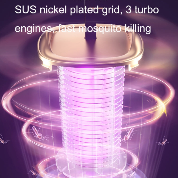 TBD0602194102_B3.jpg@556c03a770d726b96cae91207d43aeb4