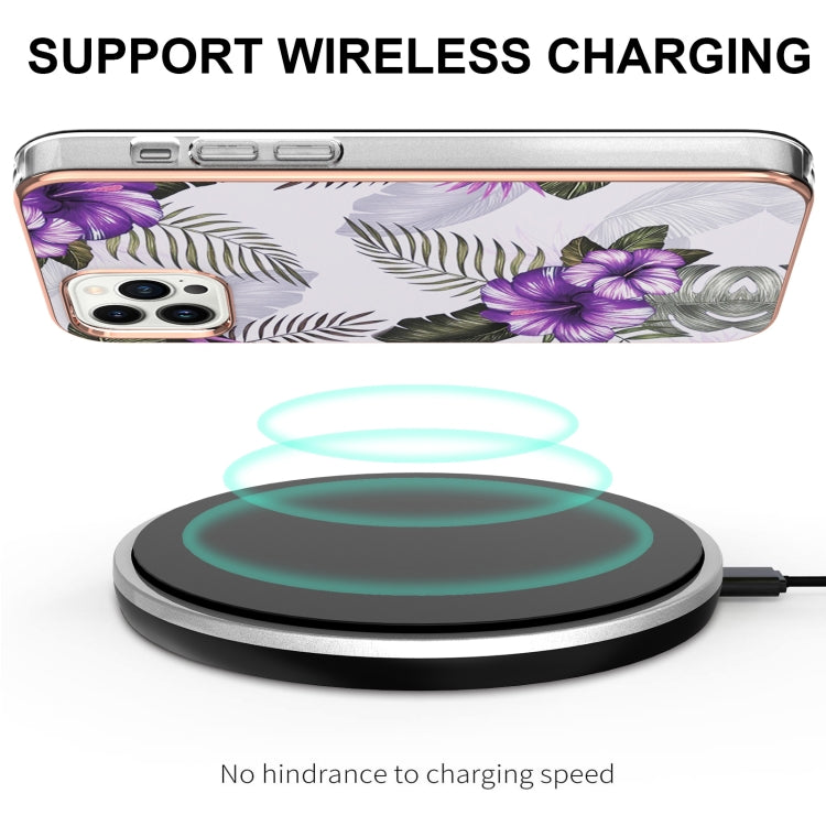 EDA005079605F_2.jpg@2b66a4fefb9b5499437666cebfceb445