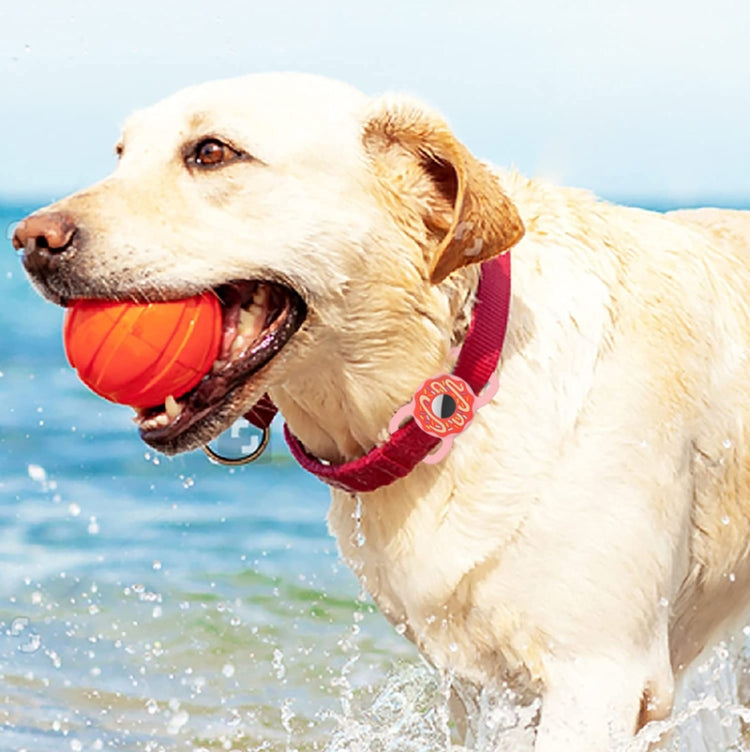 EDA003143802_B3.jpg@062750e9aeb500a3e18b77385b923d16