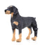 TBD0583440901A_1.jpg@114da0ed7e0ac70136601809ae6e8ca0