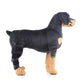 TBD0583440901D.jpg@5f41536ab0ff8fa250fec97fe02c38ce